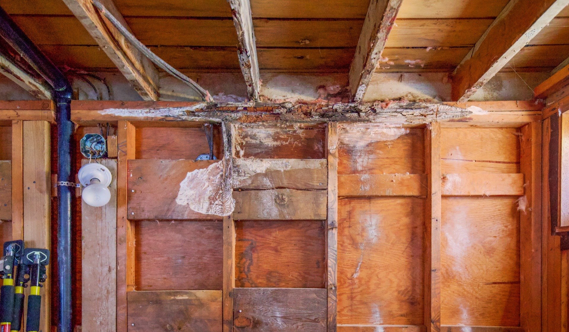 Bathroom renovation which revealed dry rot behind drywall causing wood to decay and crumble which caused a foul odor.